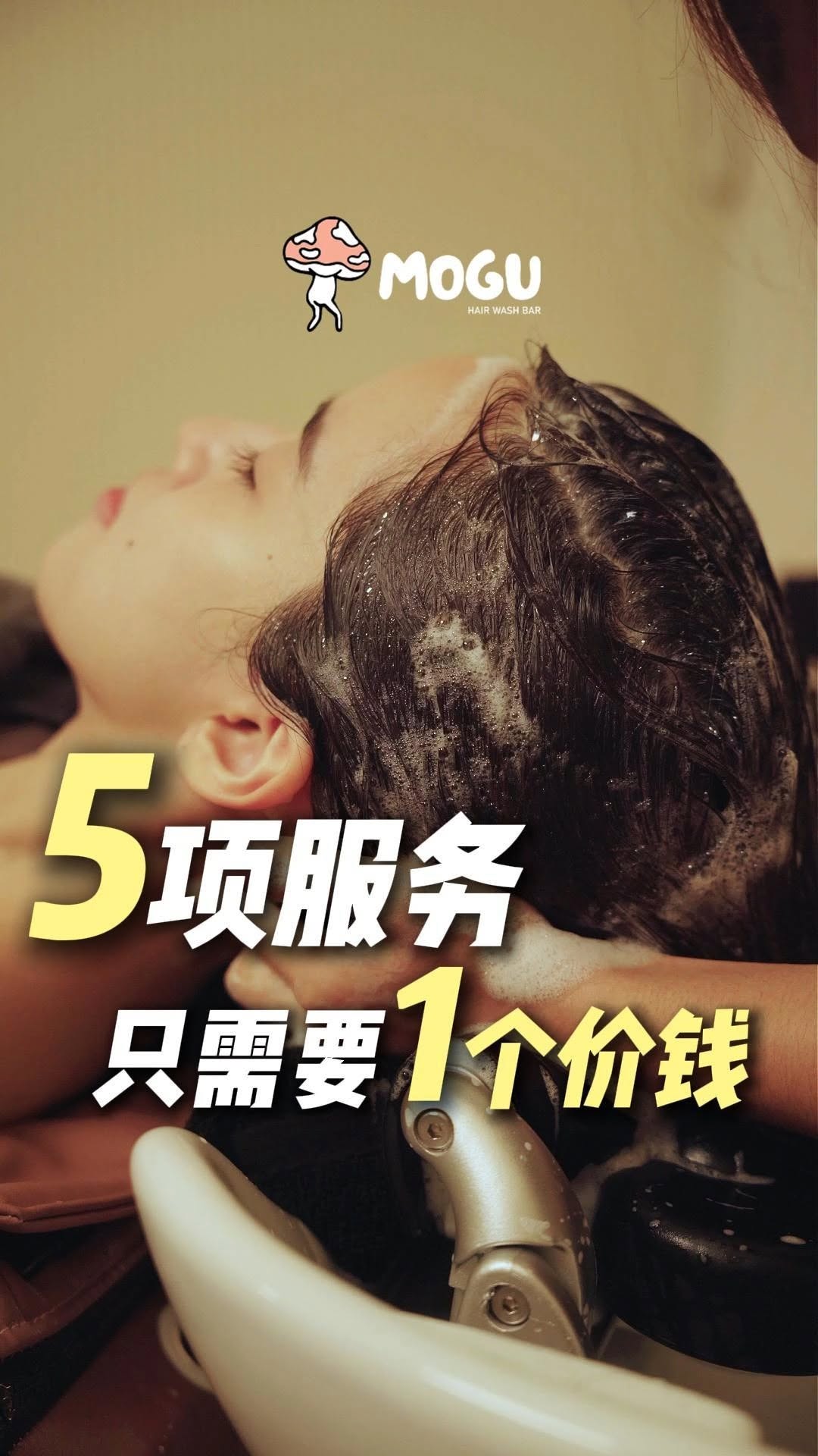 MOGU 5-in-1 service