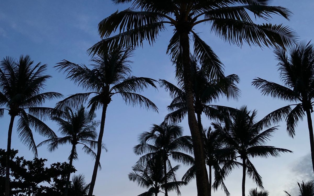 Coastal sunset in East Malaysia, illustrating the Sabah and Sarawak investment corridors