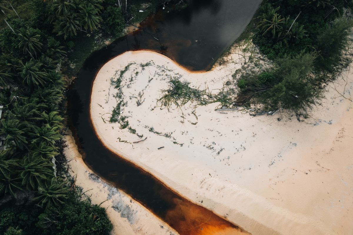 Aerial view of a river meandering through Borneo rainforest and coastline in East Malaysia