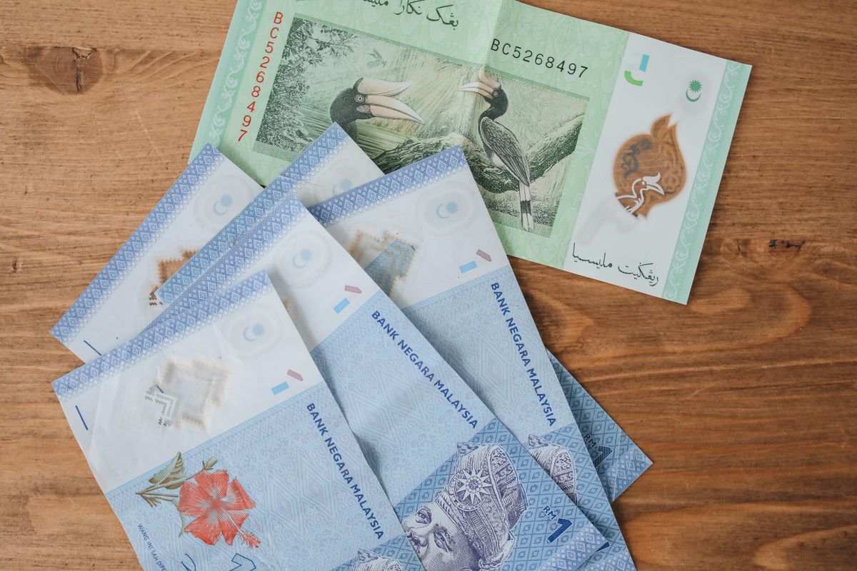 Malaysian ringgit banknotes of several denominations laid out